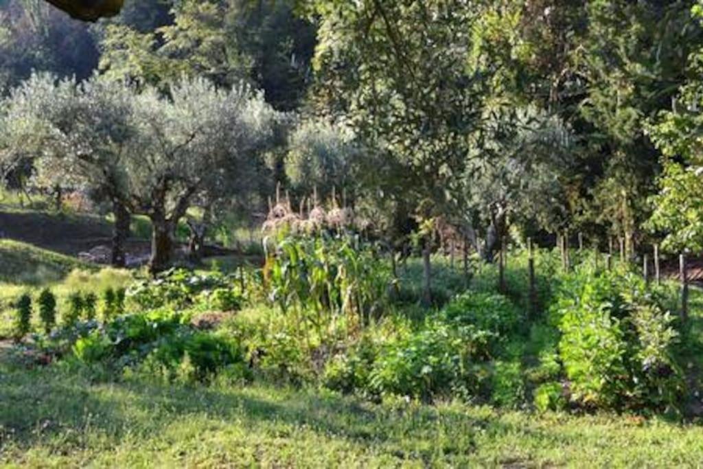 Frasso Telesino Villa De Luccheri מראה חיצוני תמונה
