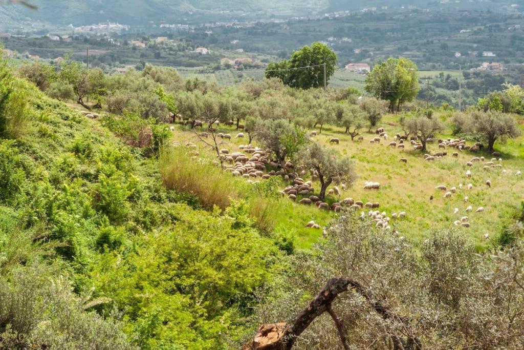 Frasso Telesino Villa De Luccheri מראה חיצוני תמונה