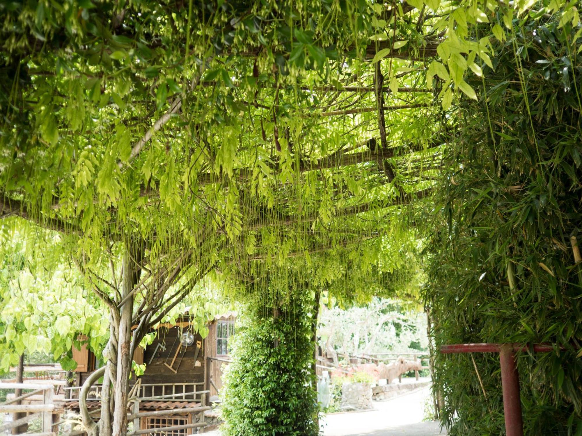 Frasso Telesino Villa De Luccheri מראה חיצוני תמונה