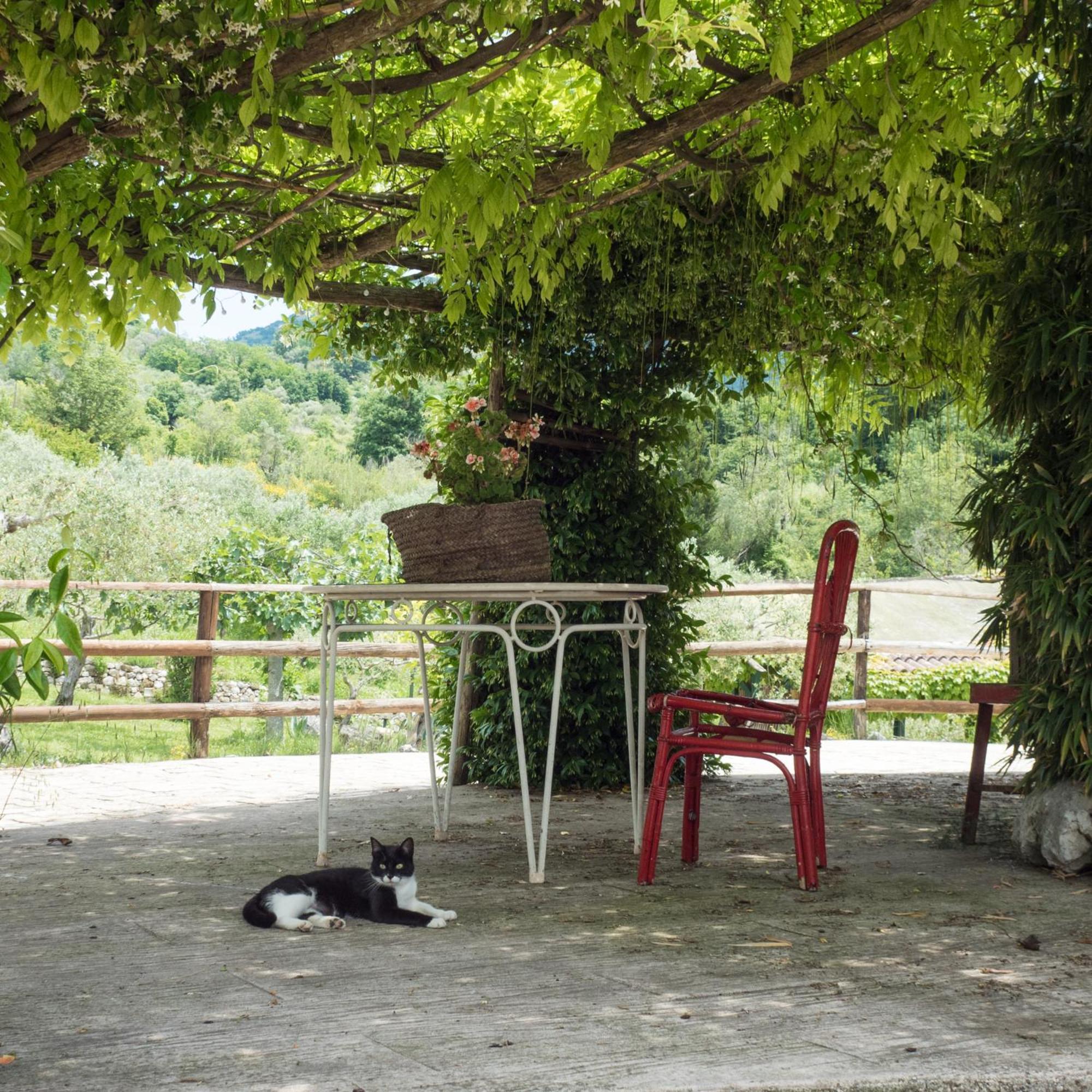 Frasso Telesino Villa De Luccheri מראה חיצוני תמונה